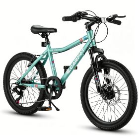 20 Inch Kids Mountain Bike, 7-Speed Boys Girls Bicycle with Front Suspension, Disc & V-Brake, Steel Frame Children\'s Bike for Ages 6-12 (Option: 20in_Green))